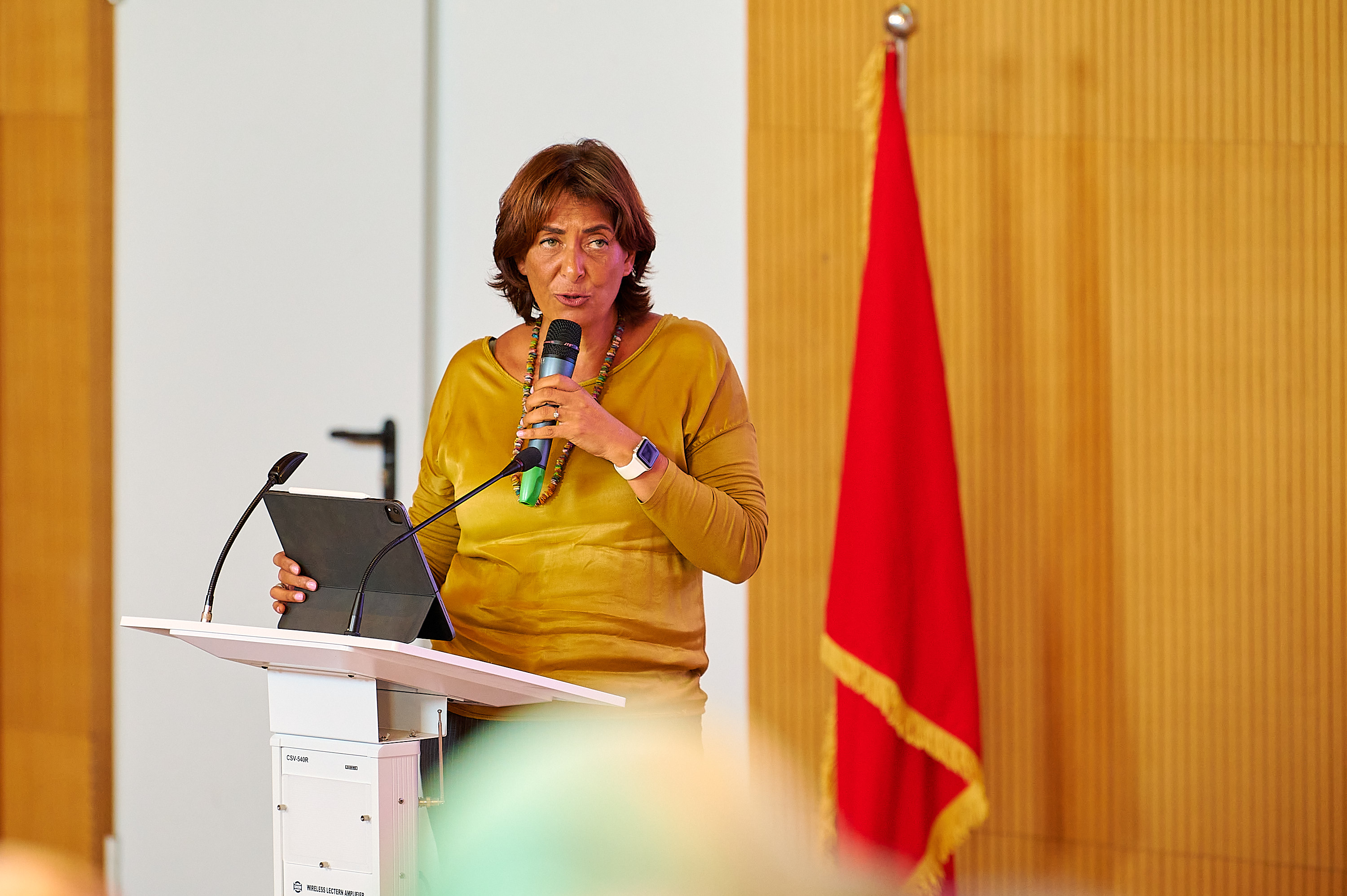 Omnia Aboukorah-Voigt, Director of the Energy and Sustainable Energy Cluster at GIZ Morocco