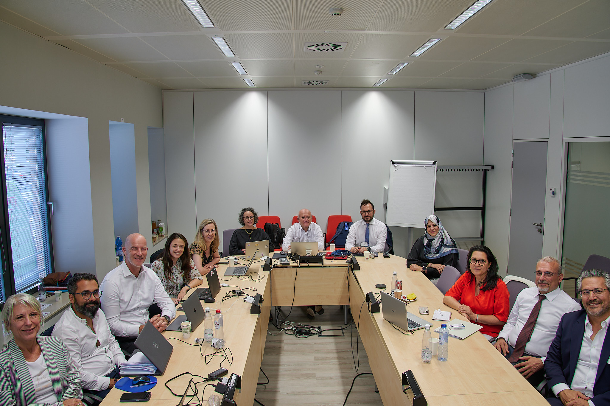 Building on the T-MED Technical Coordination Workshop held in Brussels on 30 June, MEDREG, Med-TSO, MED-GEM, OMEC and MedENER presented coordinated contributions to T-MED implementation at the Union for the Mediterranean Energy Platform on 1 July.