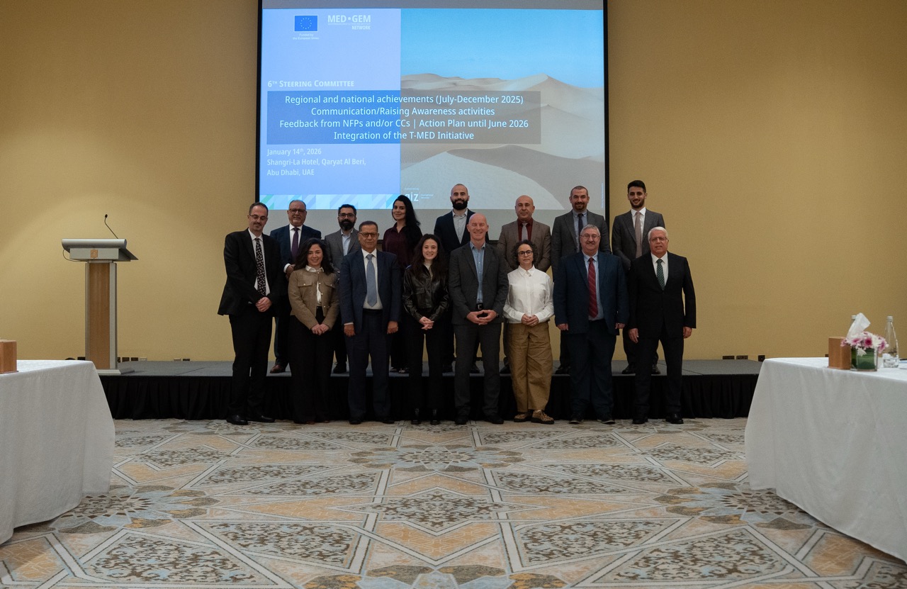 ED-GEM’s SIXTH Steering Committee