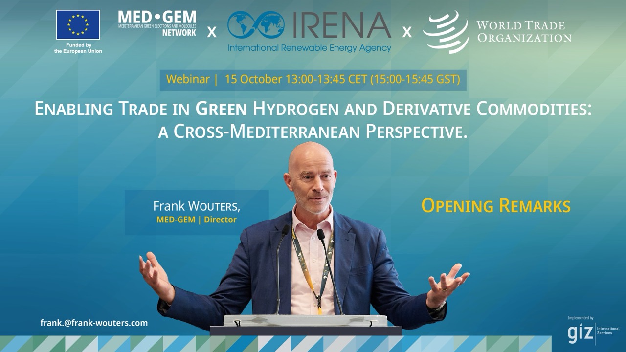 Frank Wouters, Director of the MED•GEM Network