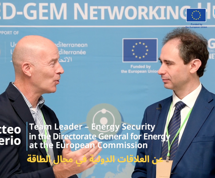 During the first Mediterranean Green Week organized by Union for the Mediterranean and OECD-OCDE in Istanbul, Frank Wouters, MED-GEM’s director hosted Matteo Fumerio, Team Leader – Energy Security, in the Directorate General for Energy at the European Commission. 