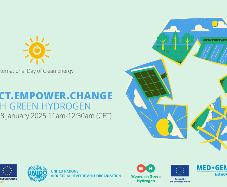 International Clean Energy Day Webinar