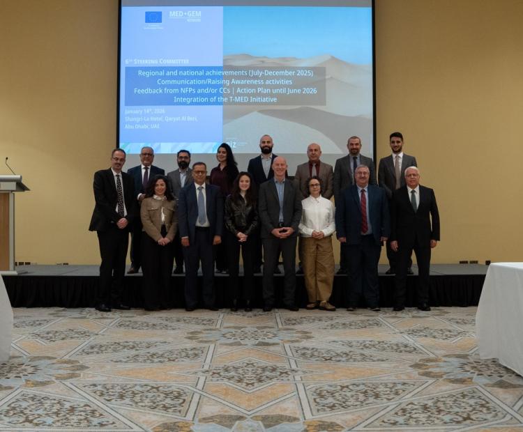 MED-GEM’s SIXTH Steering Committee