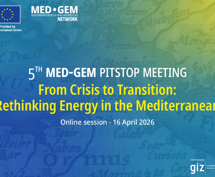 5th MED-GEM Pitstop Meeting
