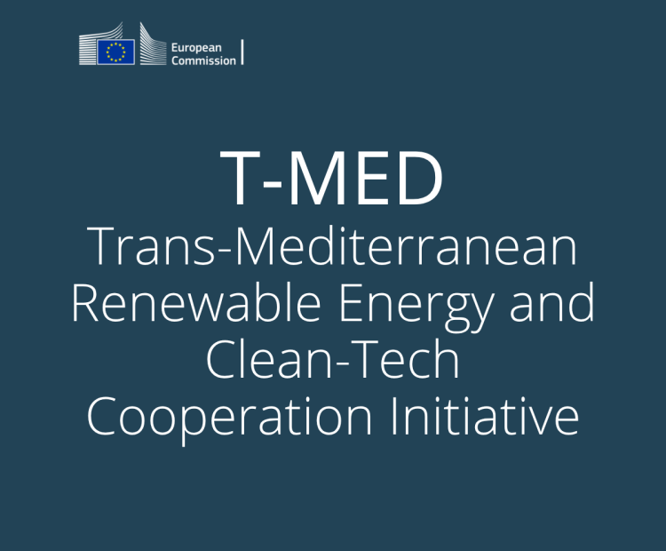  Trans-Mediterranean Renewable Energy and Clean-Tech Cooperation Initiative (T-MED)