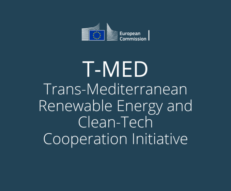  Trans-Mediterranean Renewable Energy and Clean-Tech Cooperation Initiative (T-MED)