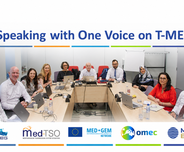 Building on the T-MED Technical Coordination Workshop held in Brussels on 30 June, MEDREG, Med-TSO, MED-GEM, OMEC and MedENER presented coordinated contributions to T-MED implementation at the Union for the Mediterranean Energy Platform on 1 July.