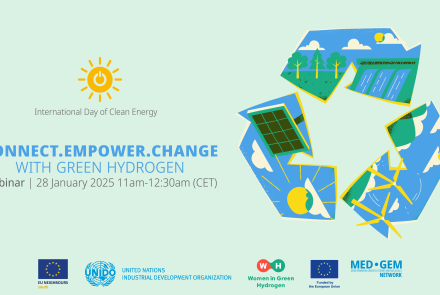 International Clean Energy Day Webinar