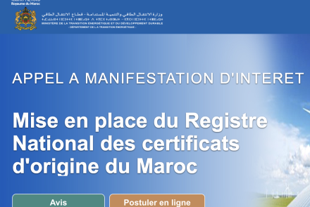 Appel à Manifestation d'Intérêt n°1/DEDEE/2026