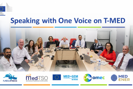 Building on the T-MED Technical Coordination Workshop held in Brussels on 30 June, MEDREG, Med-TSO, MED-GEM, OMEC and MedENER presented coordinated contributions to T-MED implementation at the Union for the Mediterranean Energy Platform on 1 July.