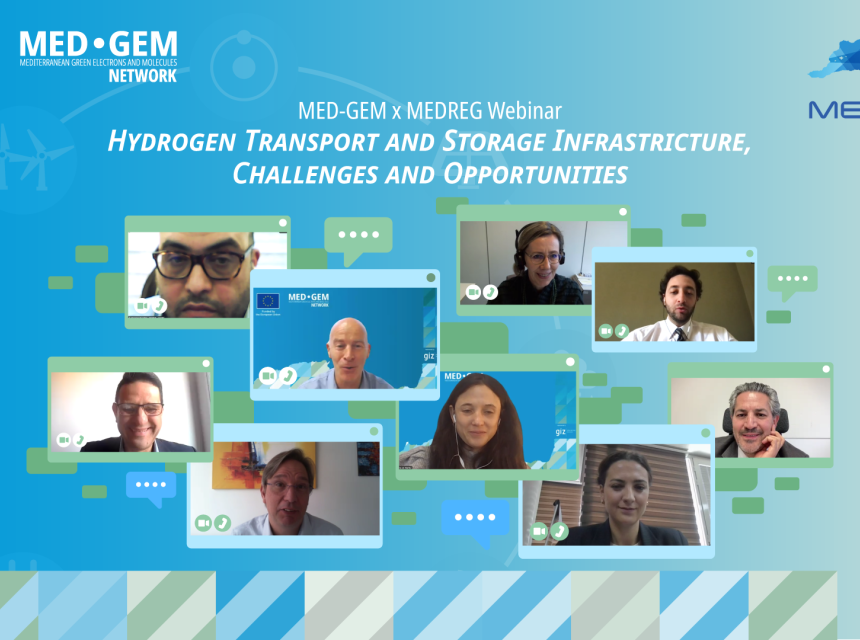 Poster of the MegReg x MED-GEM Webinar