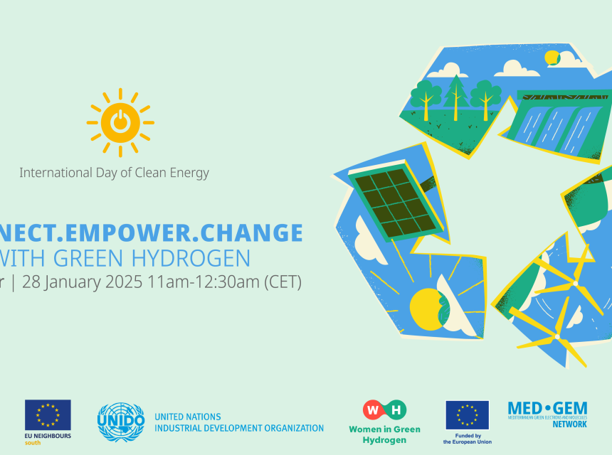 International Clean Energy Day Webinar