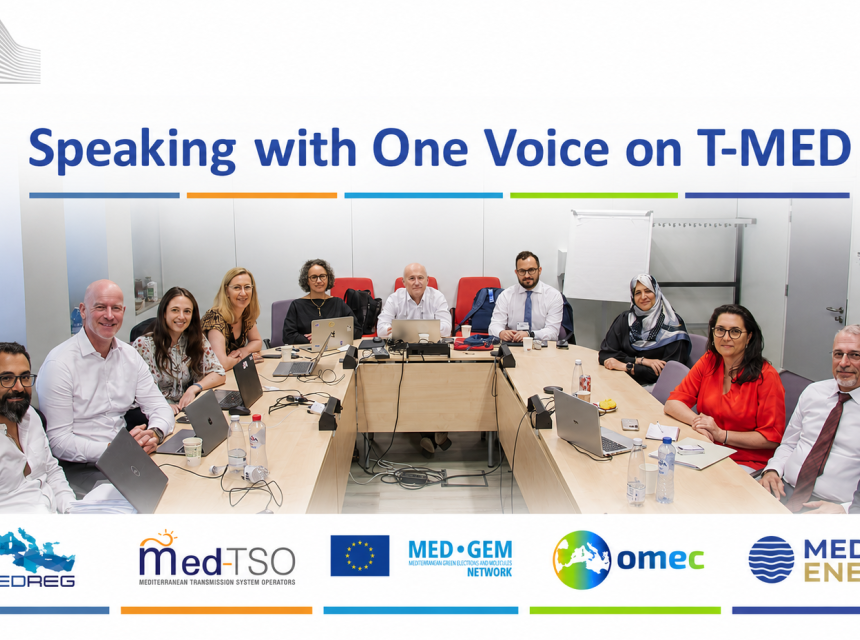 Building on the T-MED Technical Coordination Workshop held in Brussels on 30 June, MEDREG, Med-TSO, MED-GEM, OMEC and MedENER presented coordinated contributions to T-MED implementation at the Union for the Mediterranean Energy Platform on 1 July.